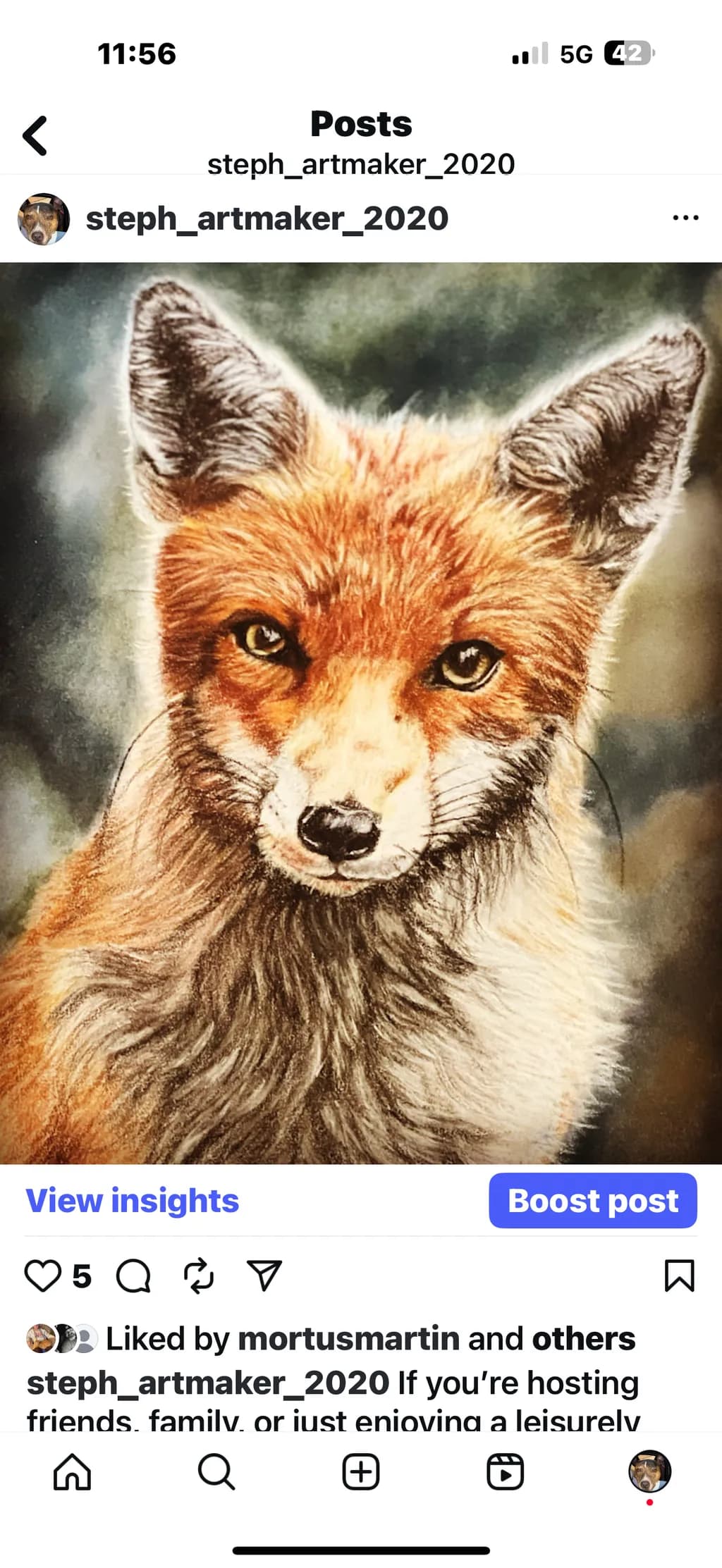 Steely Gaze Fox