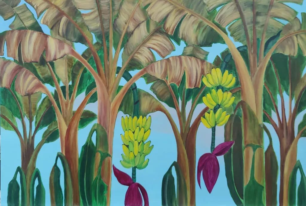 Banana Grove