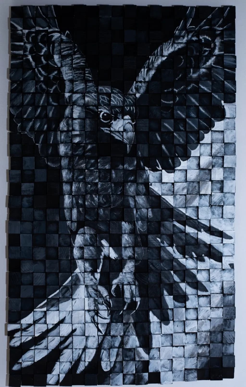 Midnight Falcon