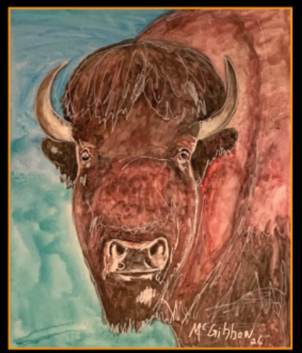 Buffalo Gaze