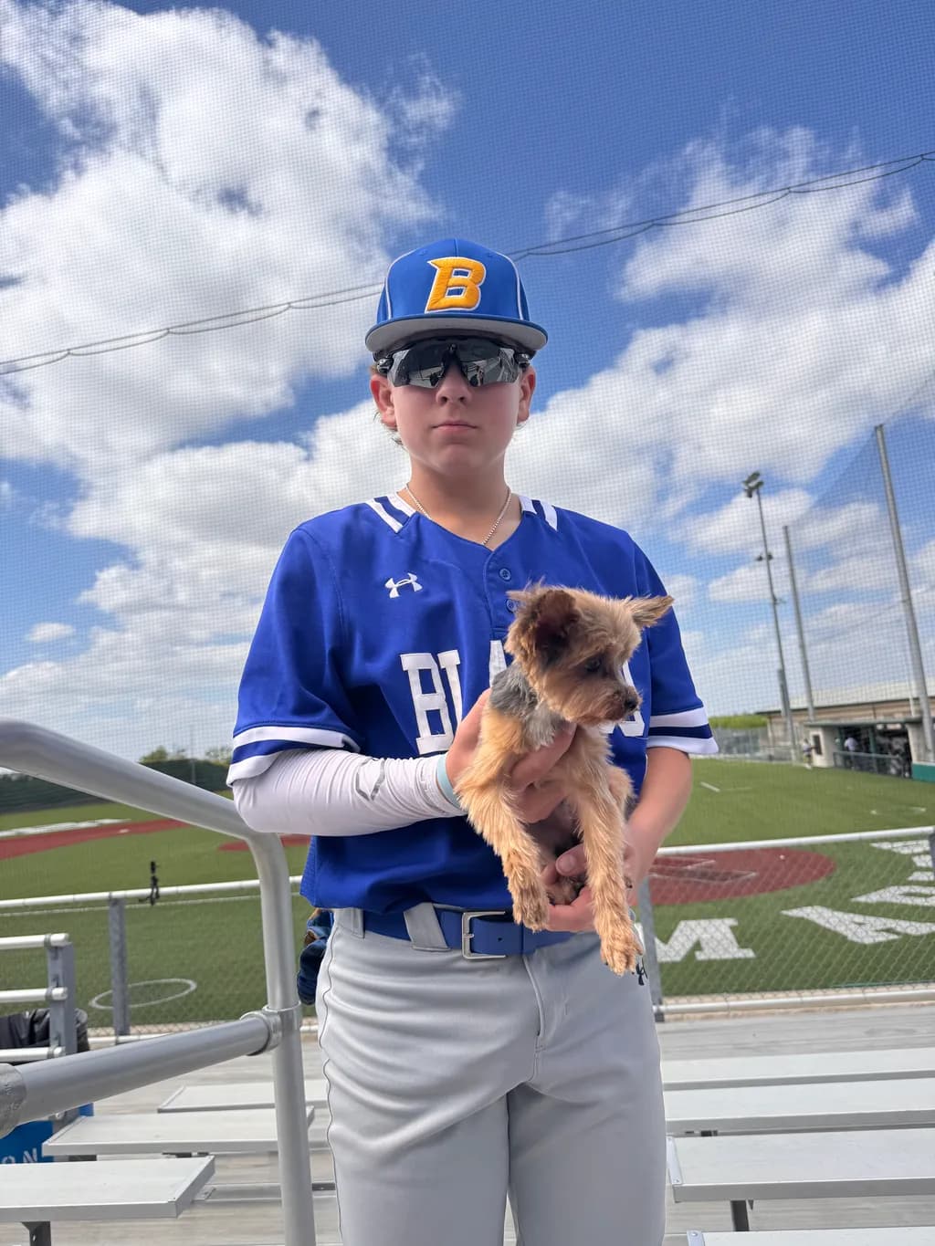 Diamond Pup Bond