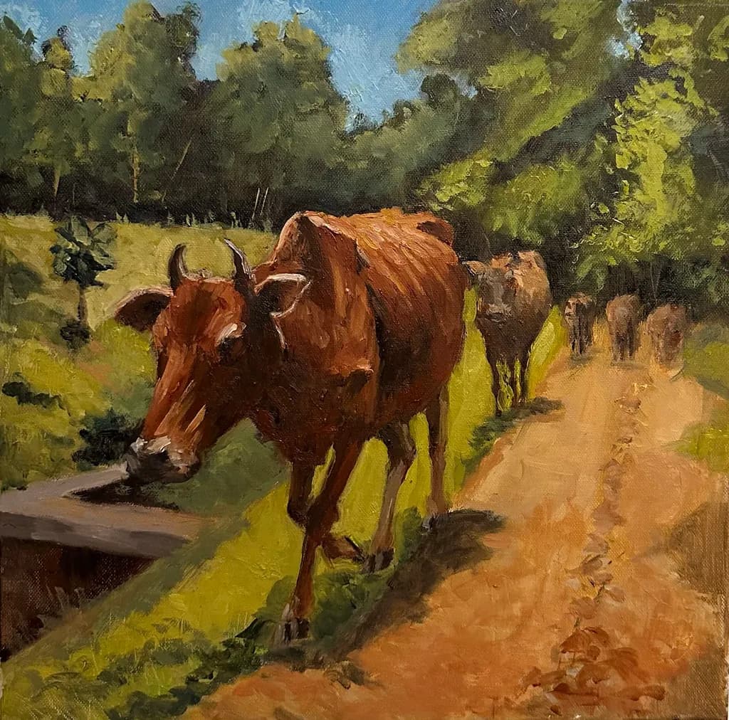 Cows on Path
