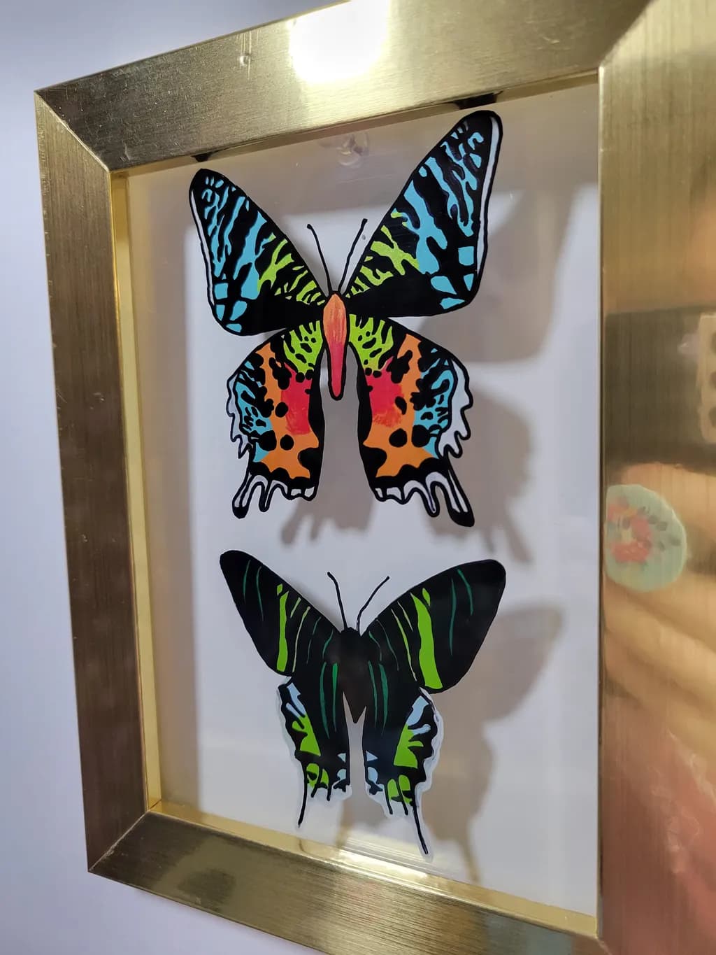 Spectrum Wings