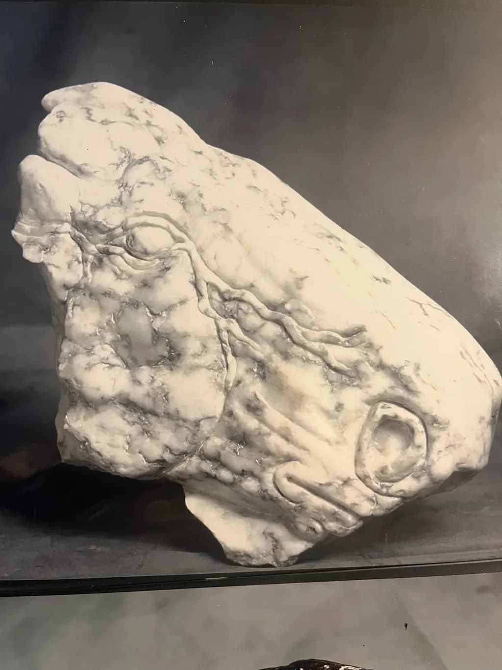Marble Lion Head