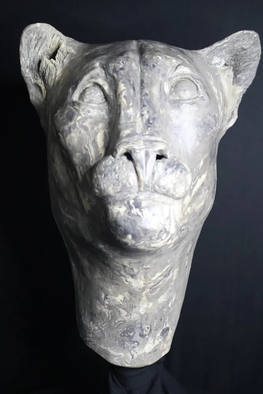 Stone Panther Head