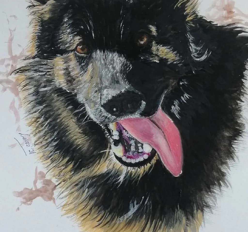 Tongue Out Dog