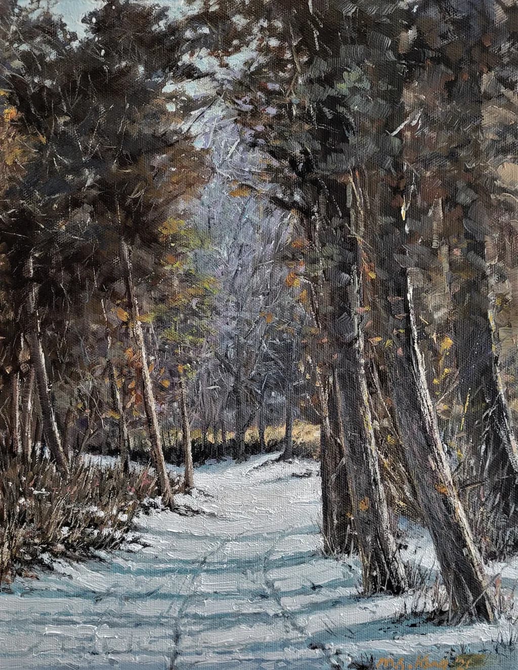 Snowpath in Winter