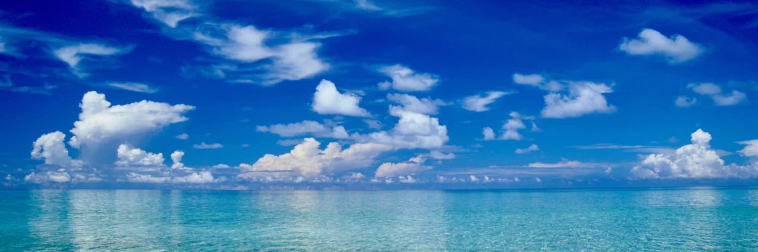 Profilbanner