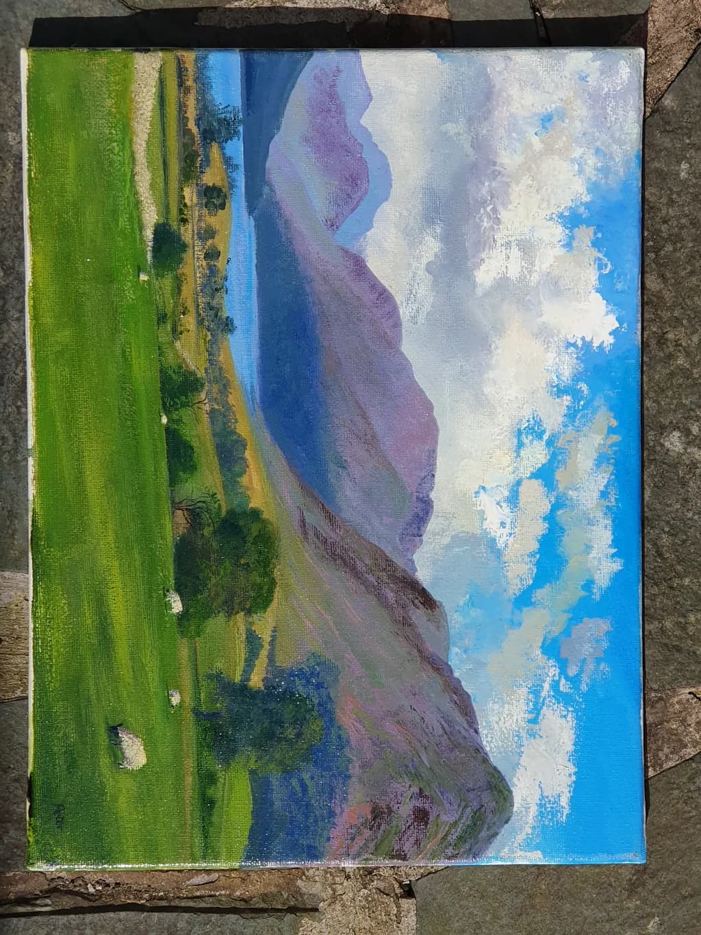 Mountain Pastures