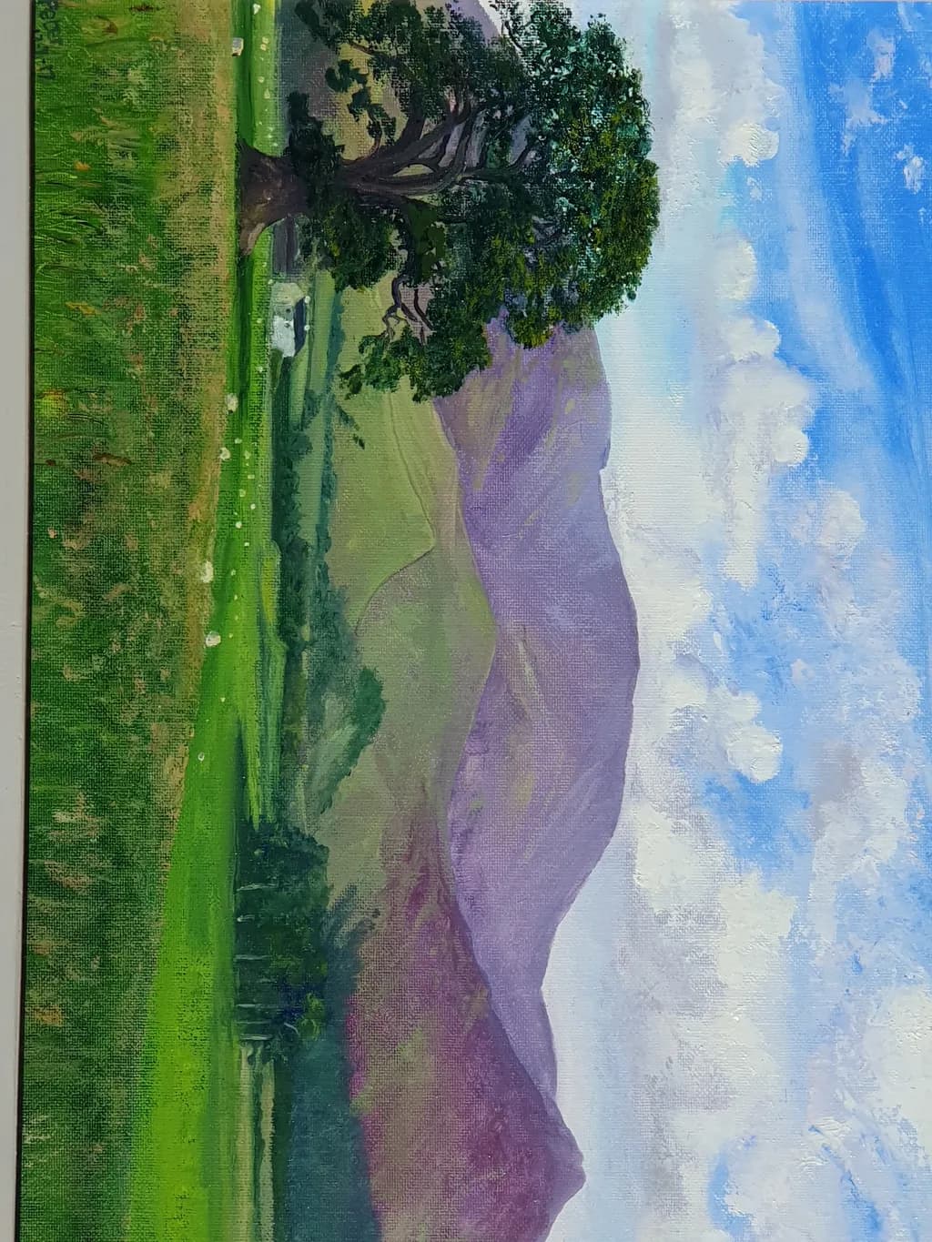 Solitary Greenscape