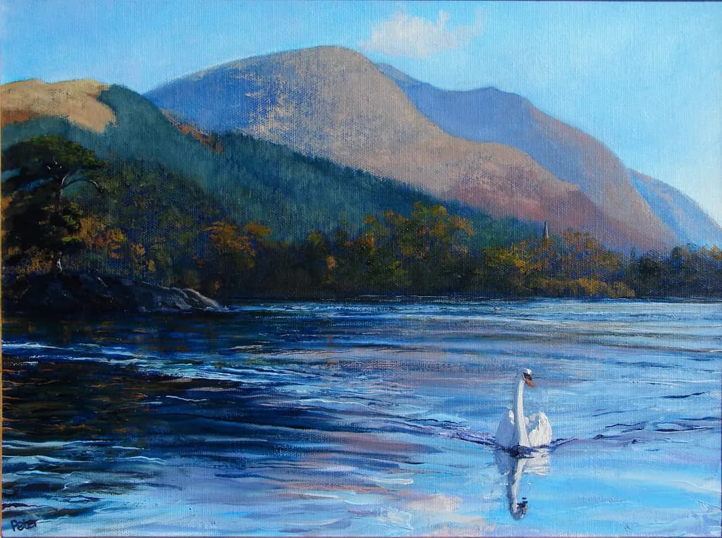 Mountain Swan Reflection