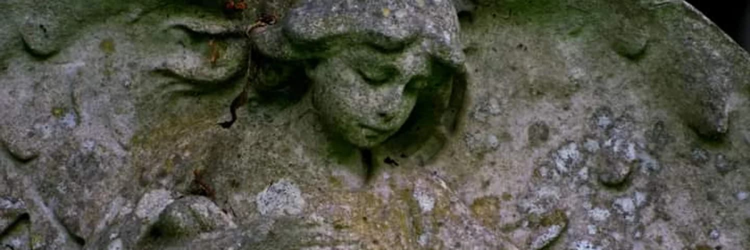 Bannière du profil