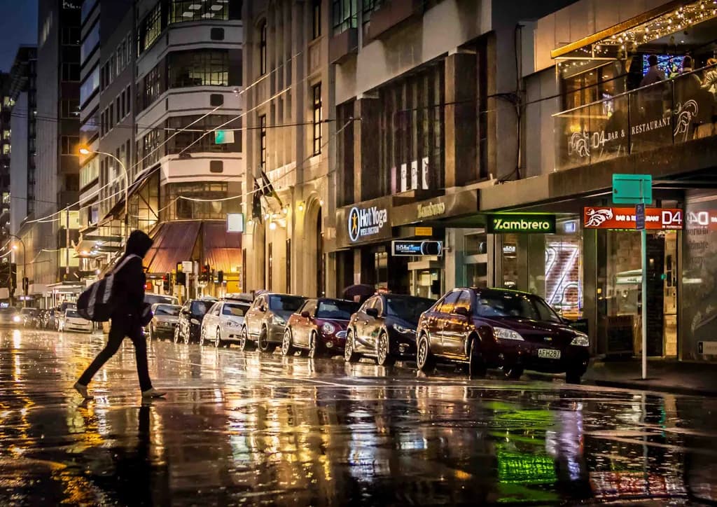 Rainlit Crossing