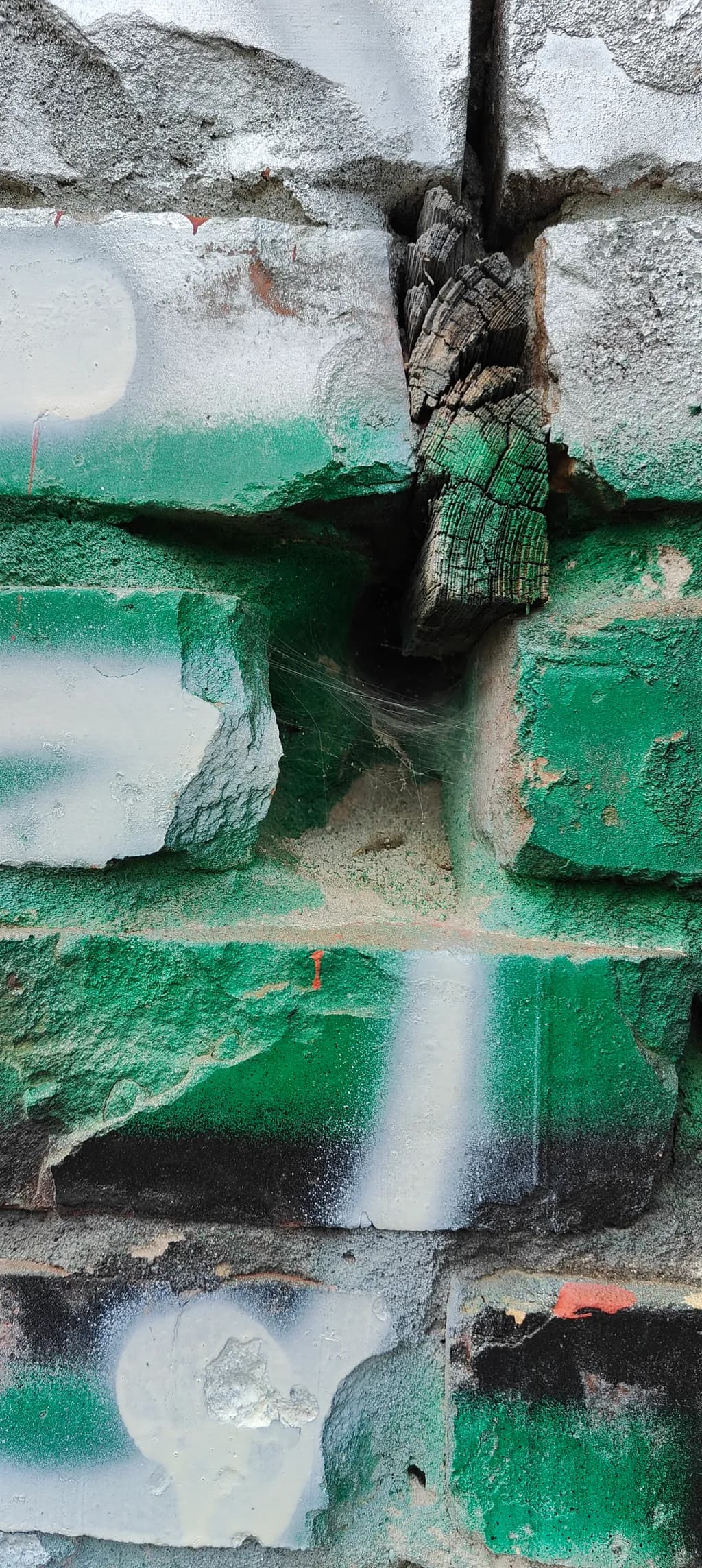 Cracked Mosaic