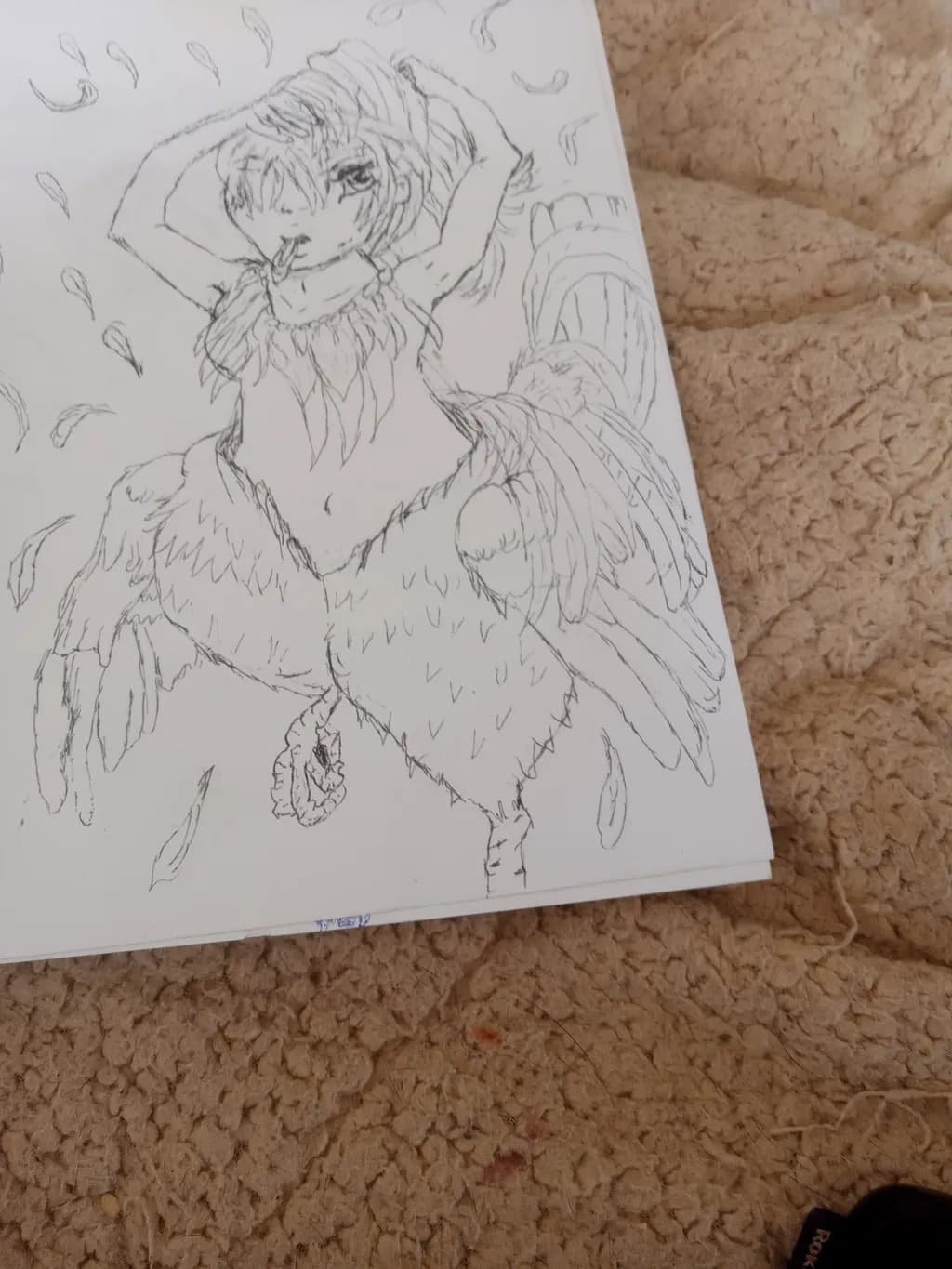 Feathered Figure