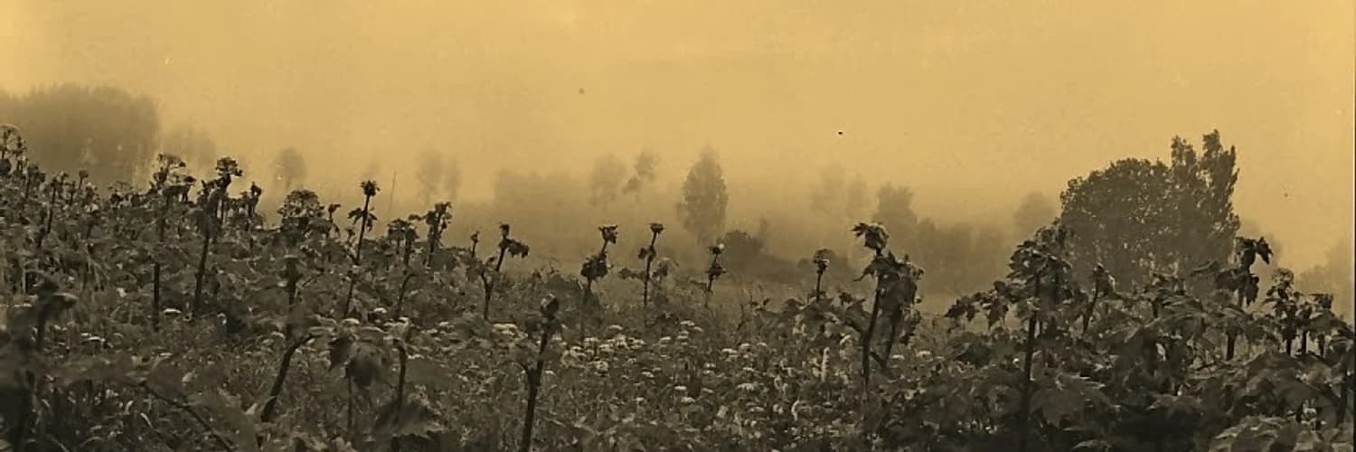 Profilbanner