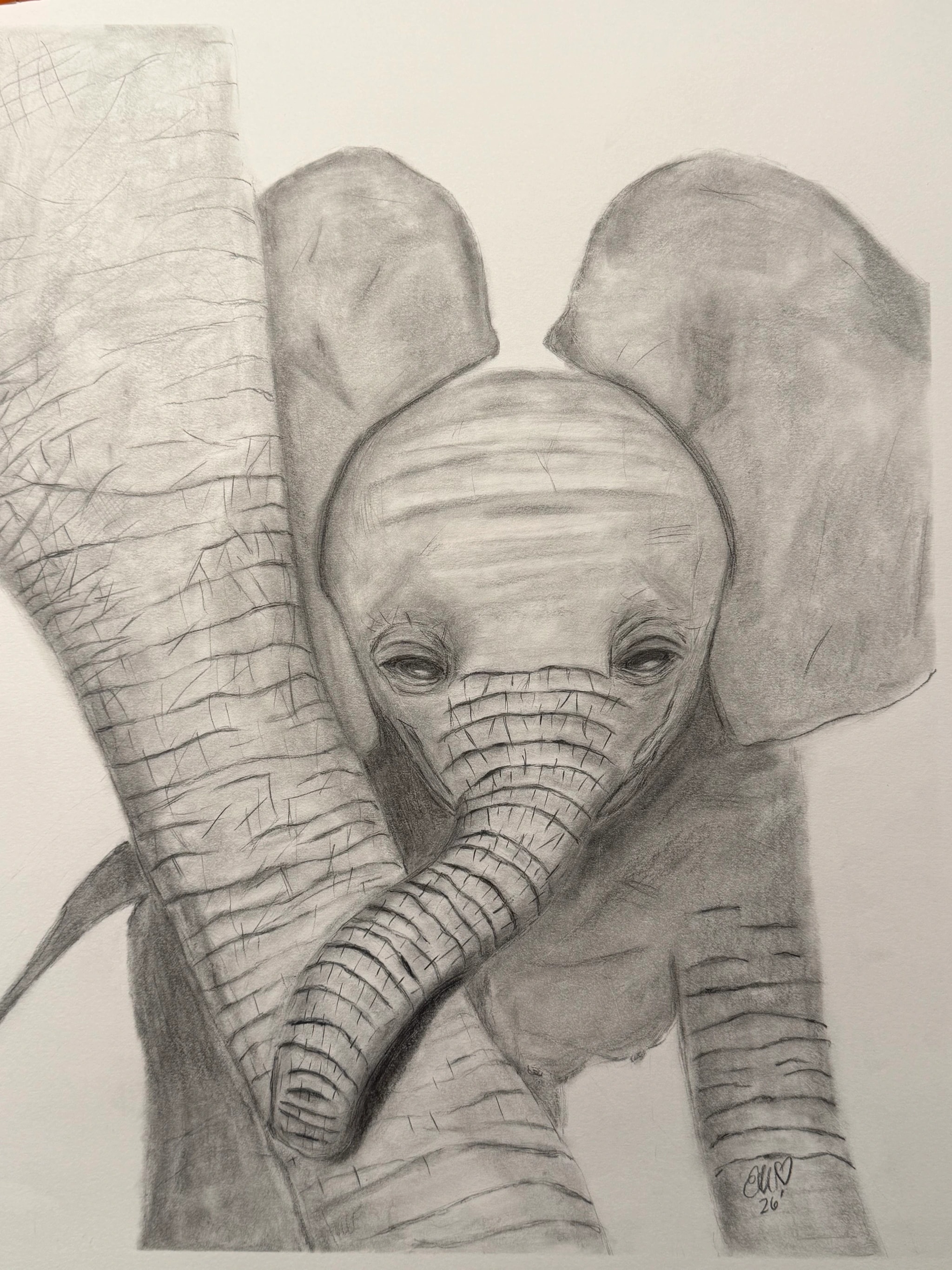 Baby Needs His Mama Elephant