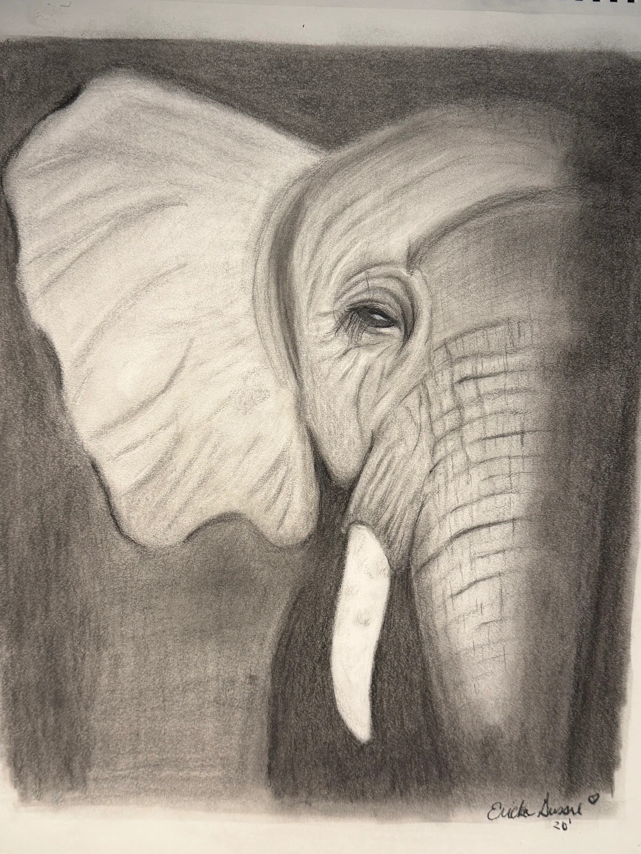 Elephant in Charcoal
