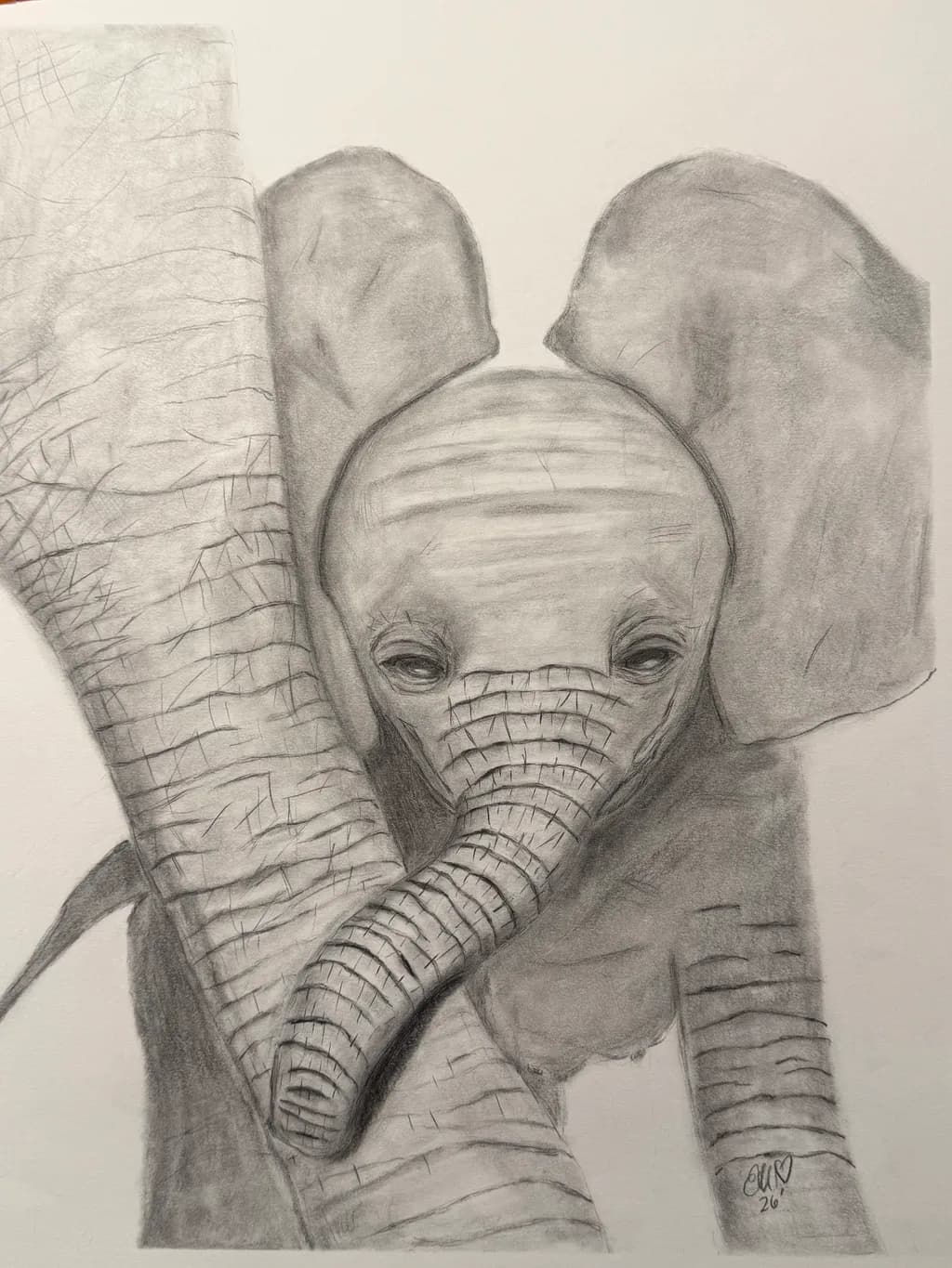 Baby Needs His Mama Elephant