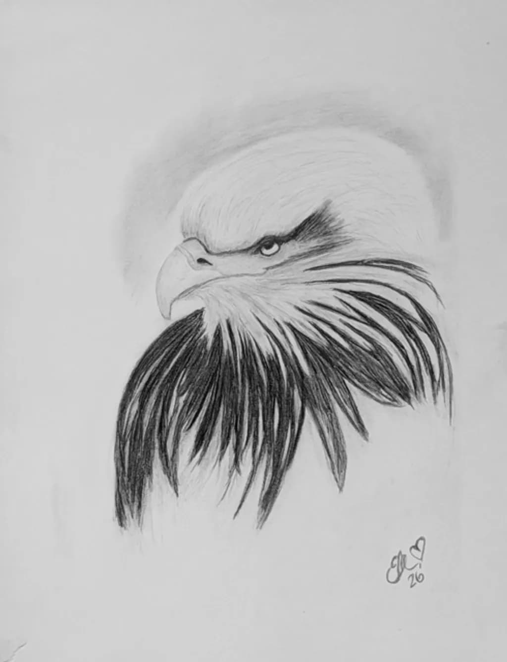 Fierce Eagle Gaze