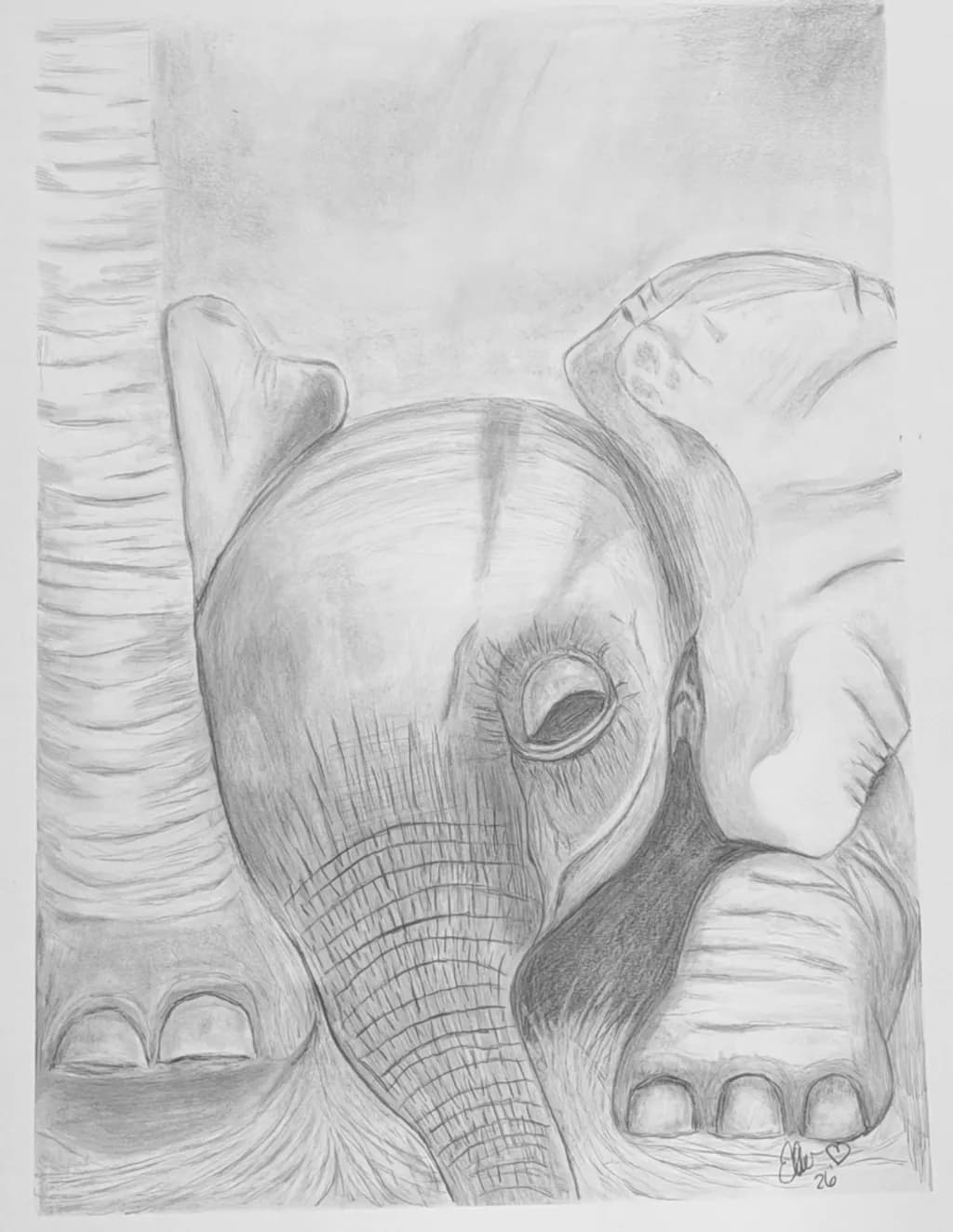 Tired Baby Elephant