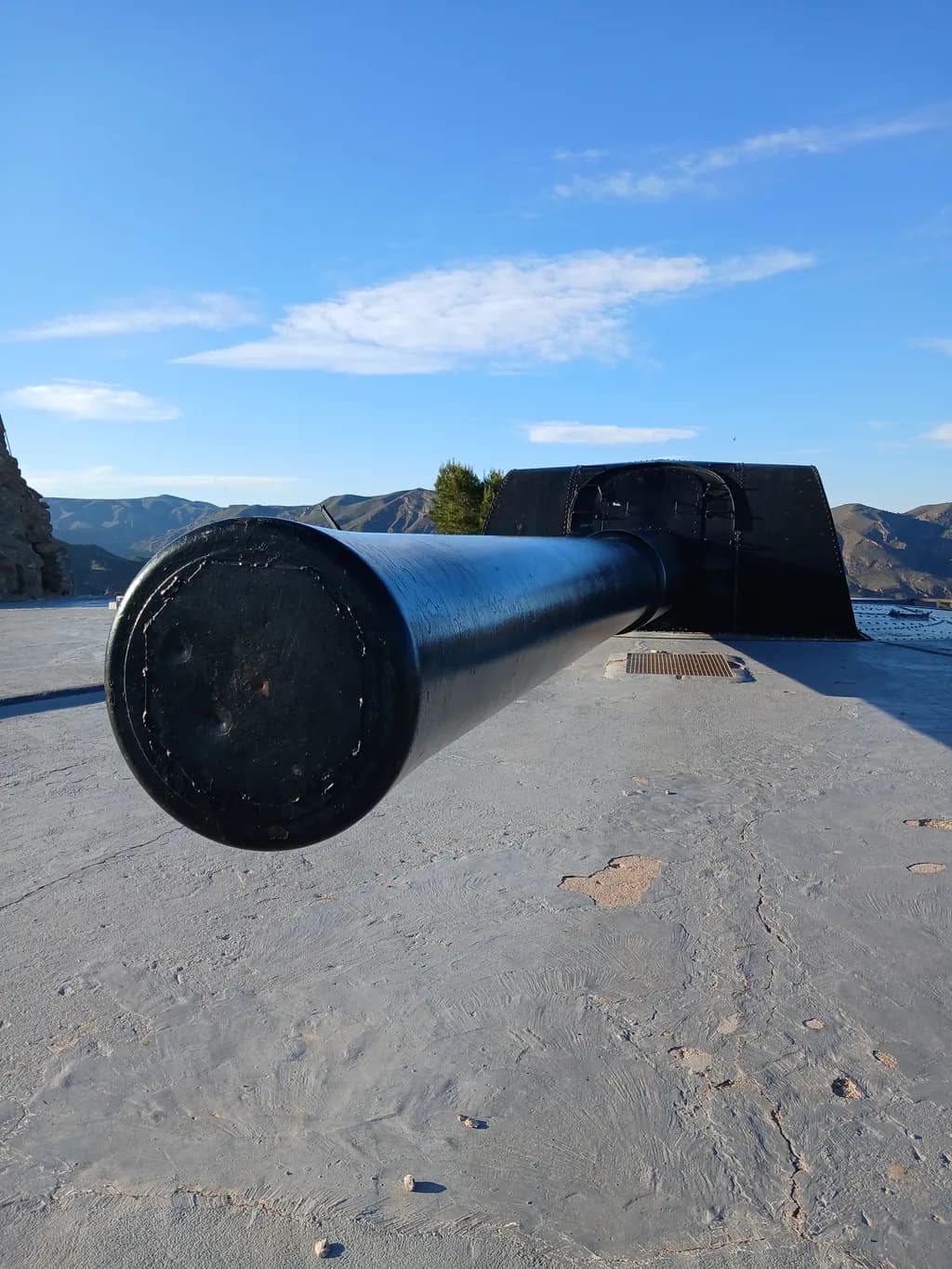 Cannon Perspective