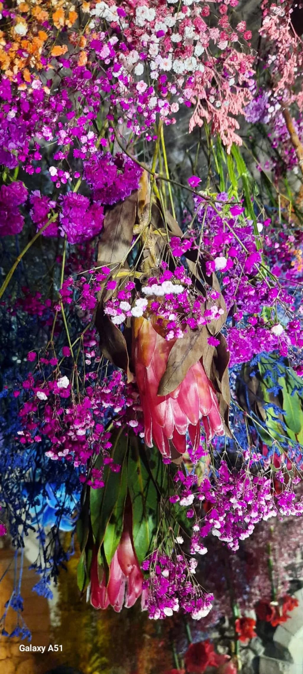 Girona en Flors Bloom