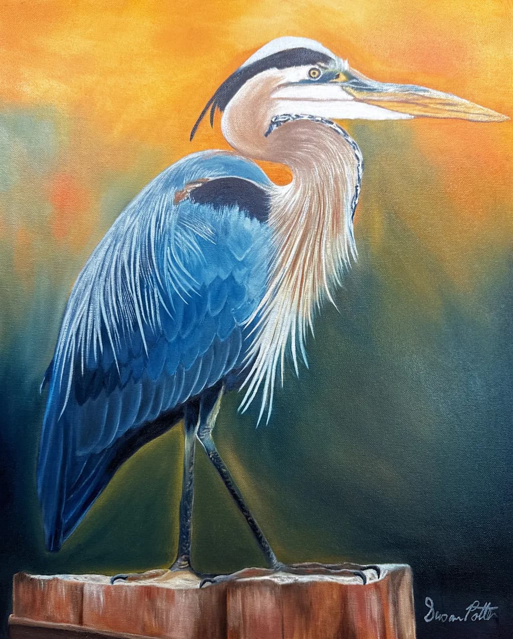 Perched Heron