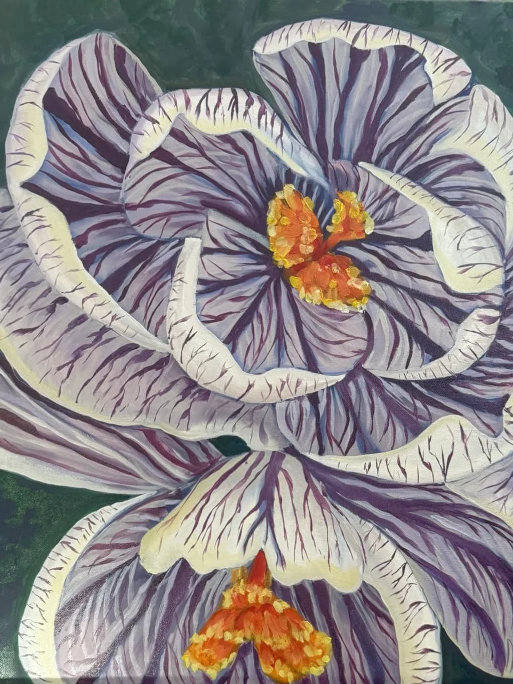 Crocus Bloom