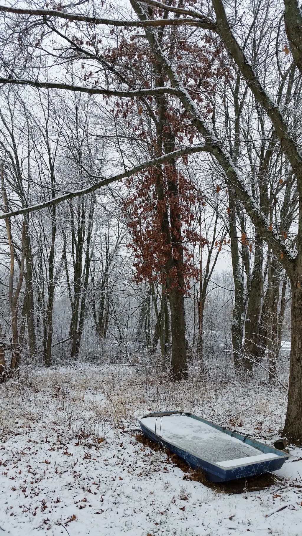 Snowy Forest Boat