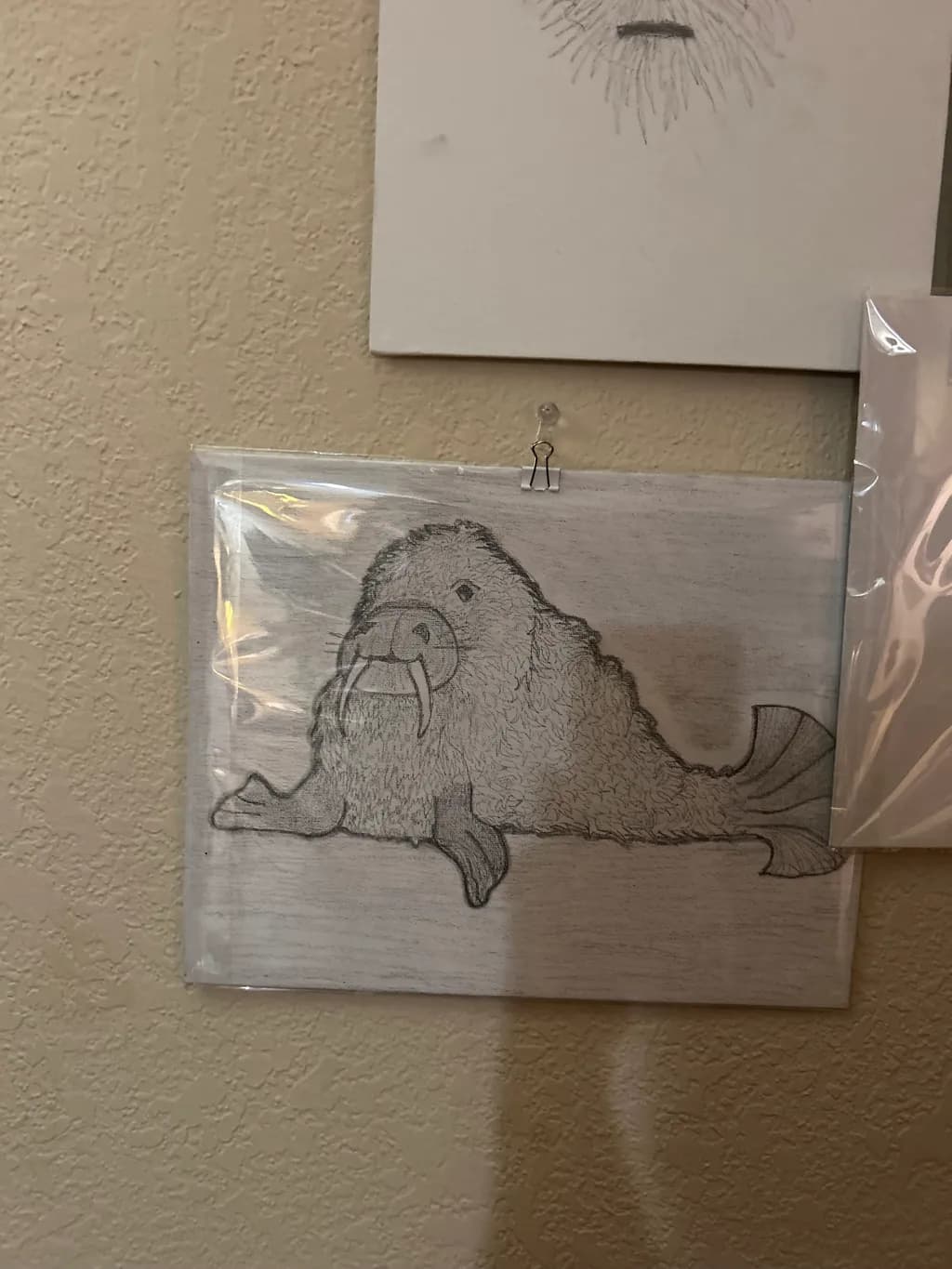 Furry Walrus