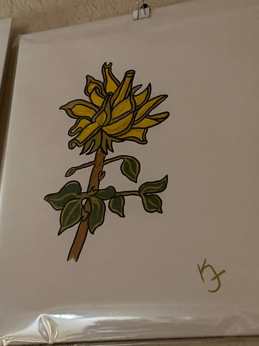 Twisted Bloom