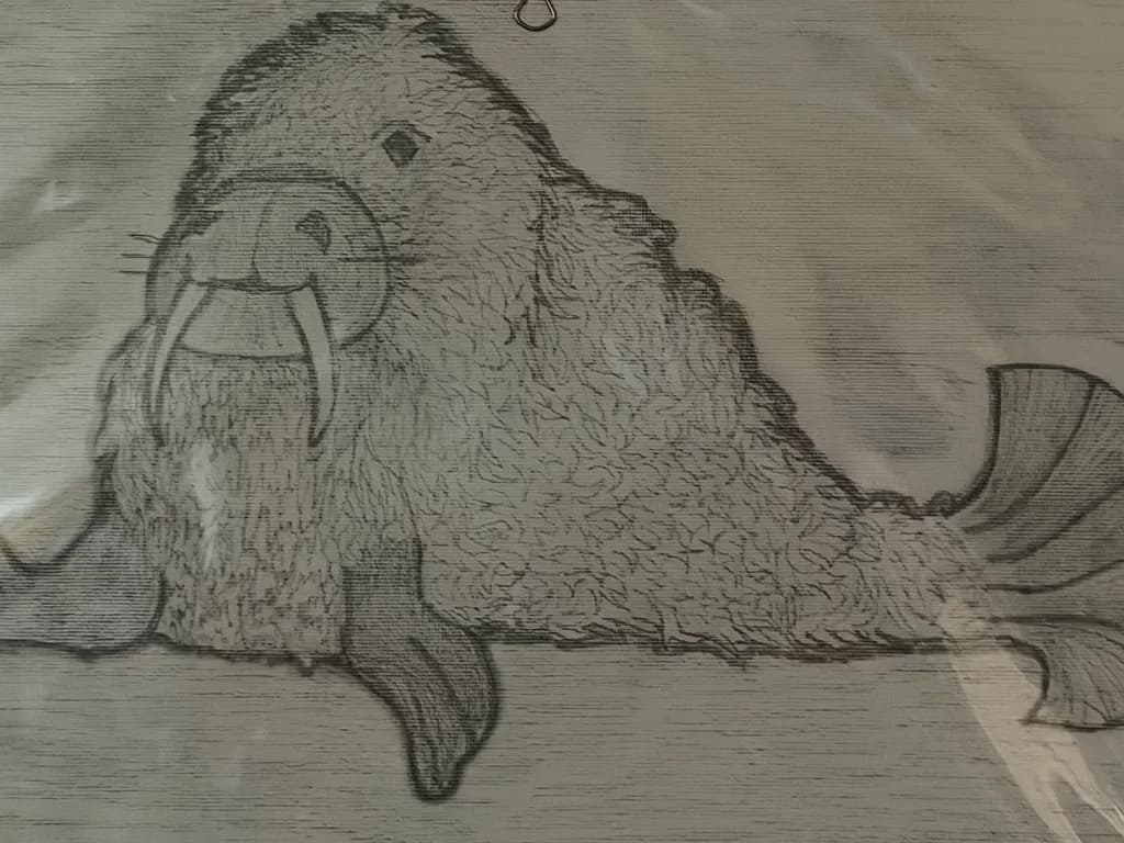 Resting Walrus by the Shore