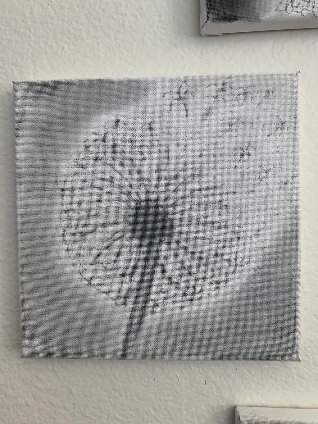Charcoal Daisy