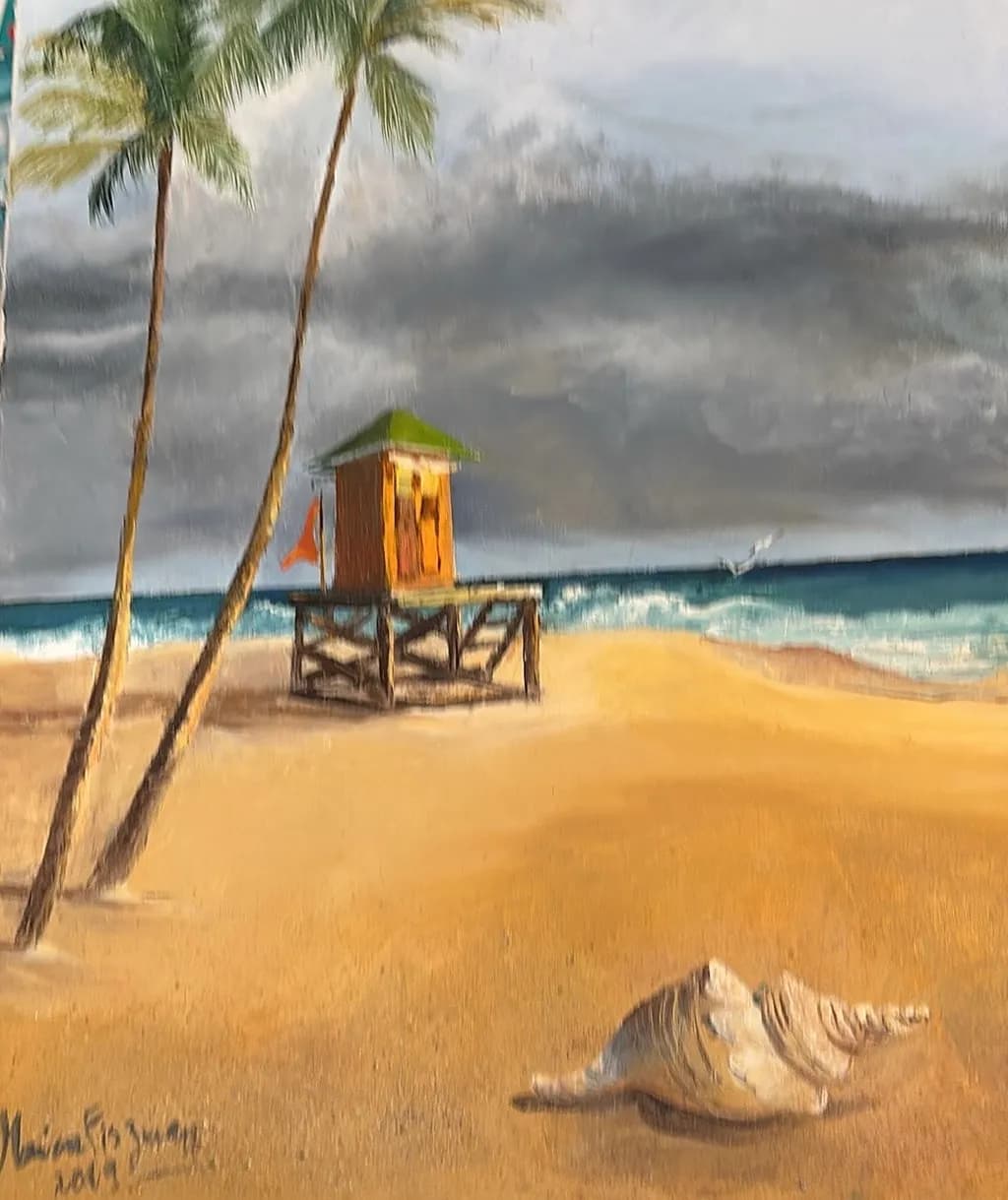 Storm Watch Shell