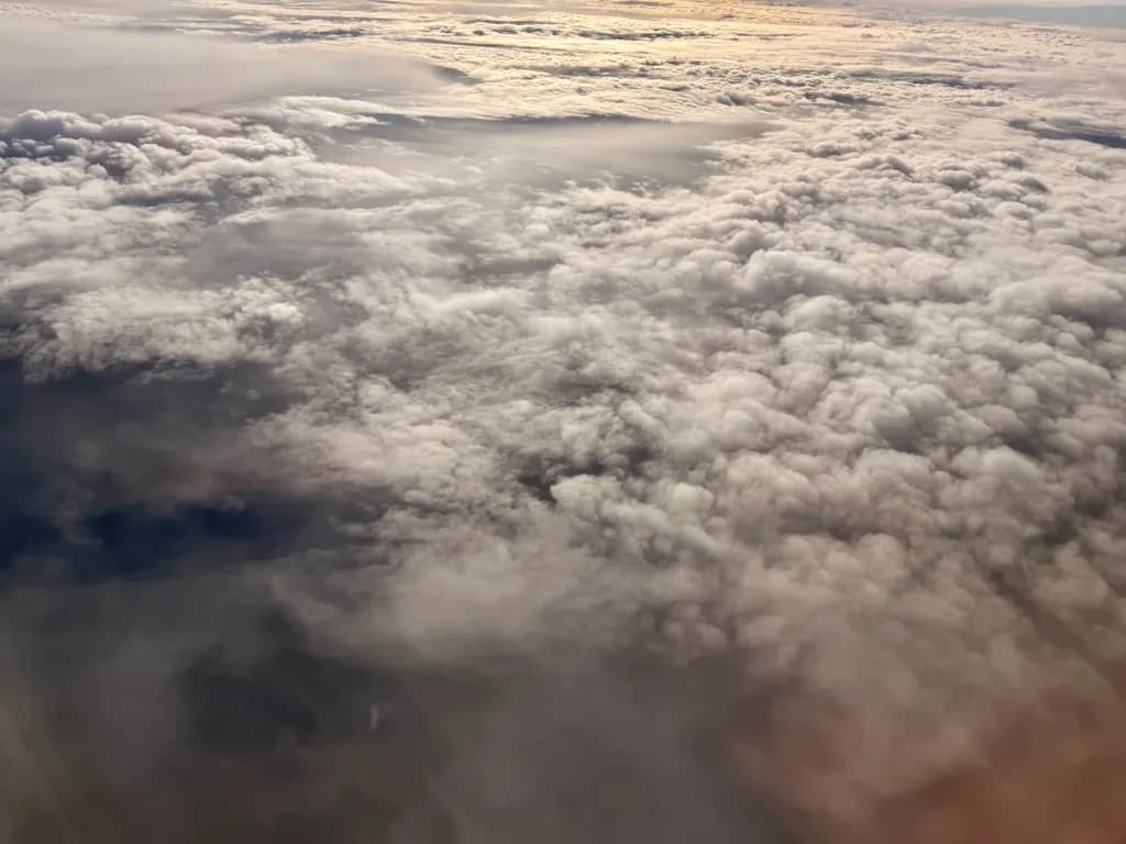 Above the Mist