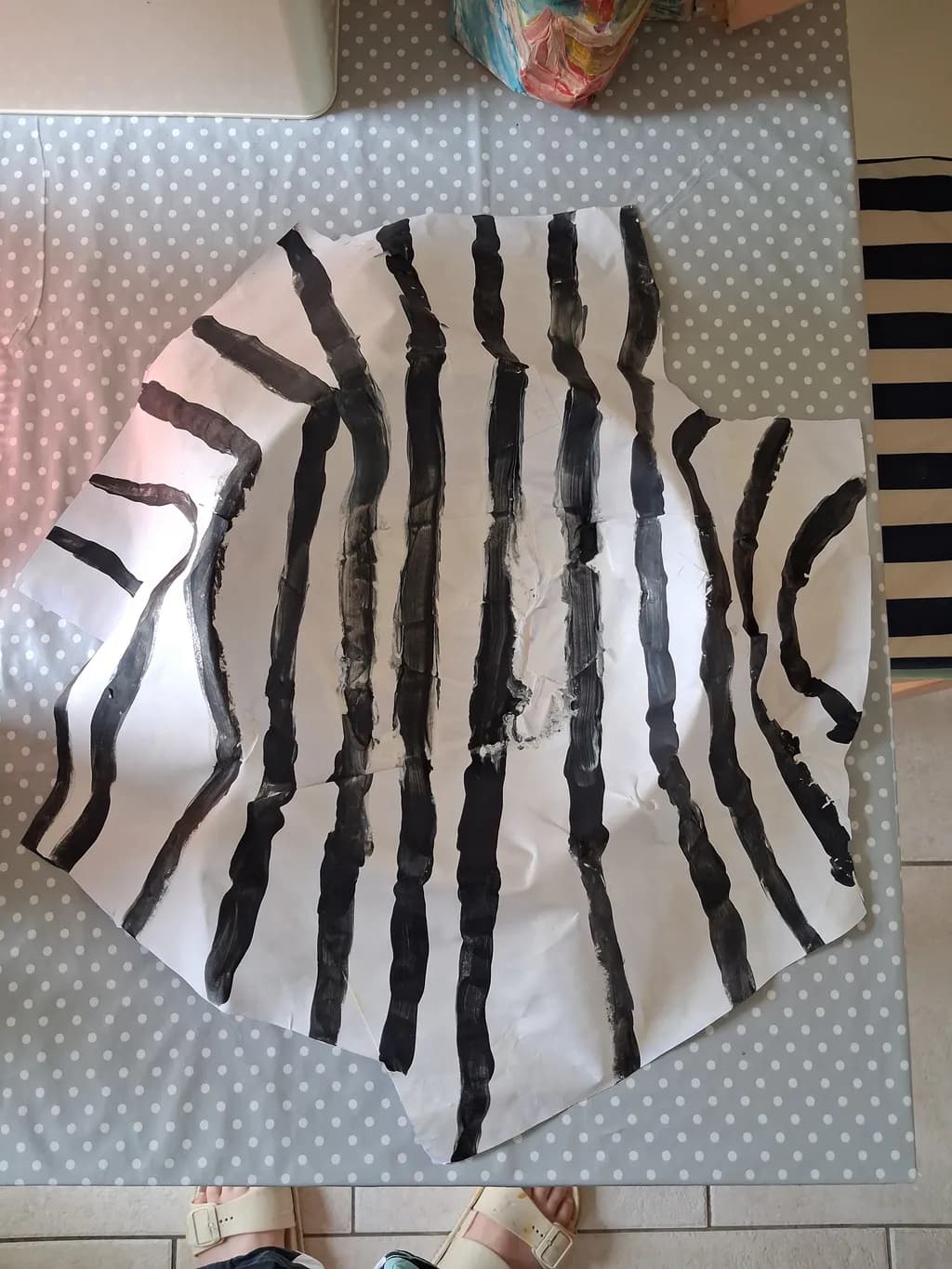 Fragmented Zebra Stripes