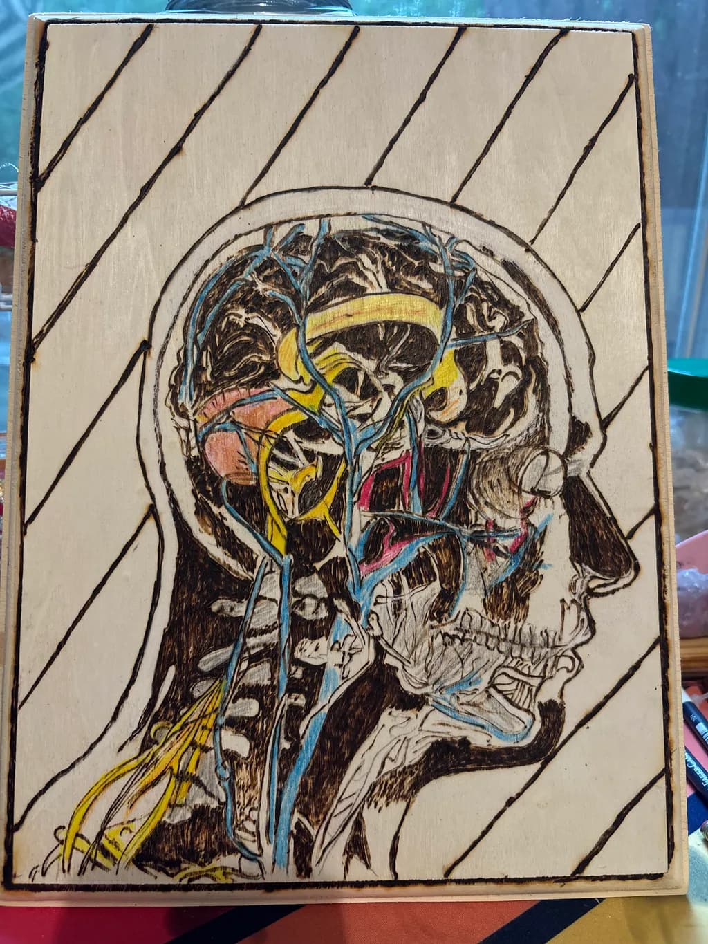 Neural Anatomy