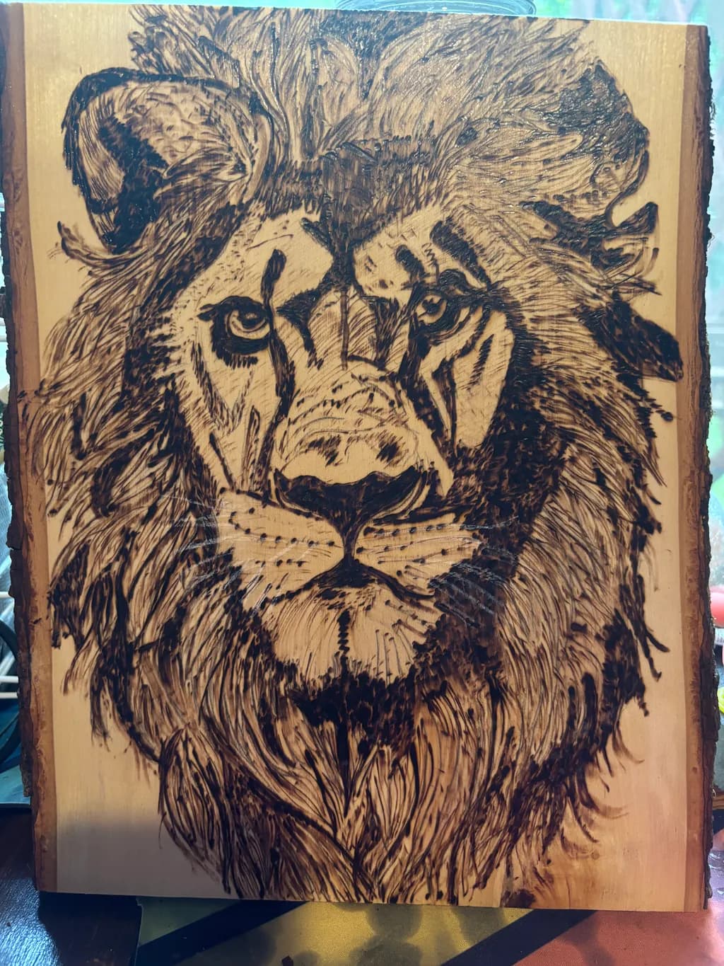 Regal Blaze