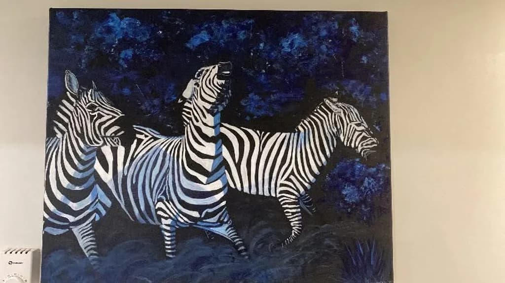 Midnight Stripes