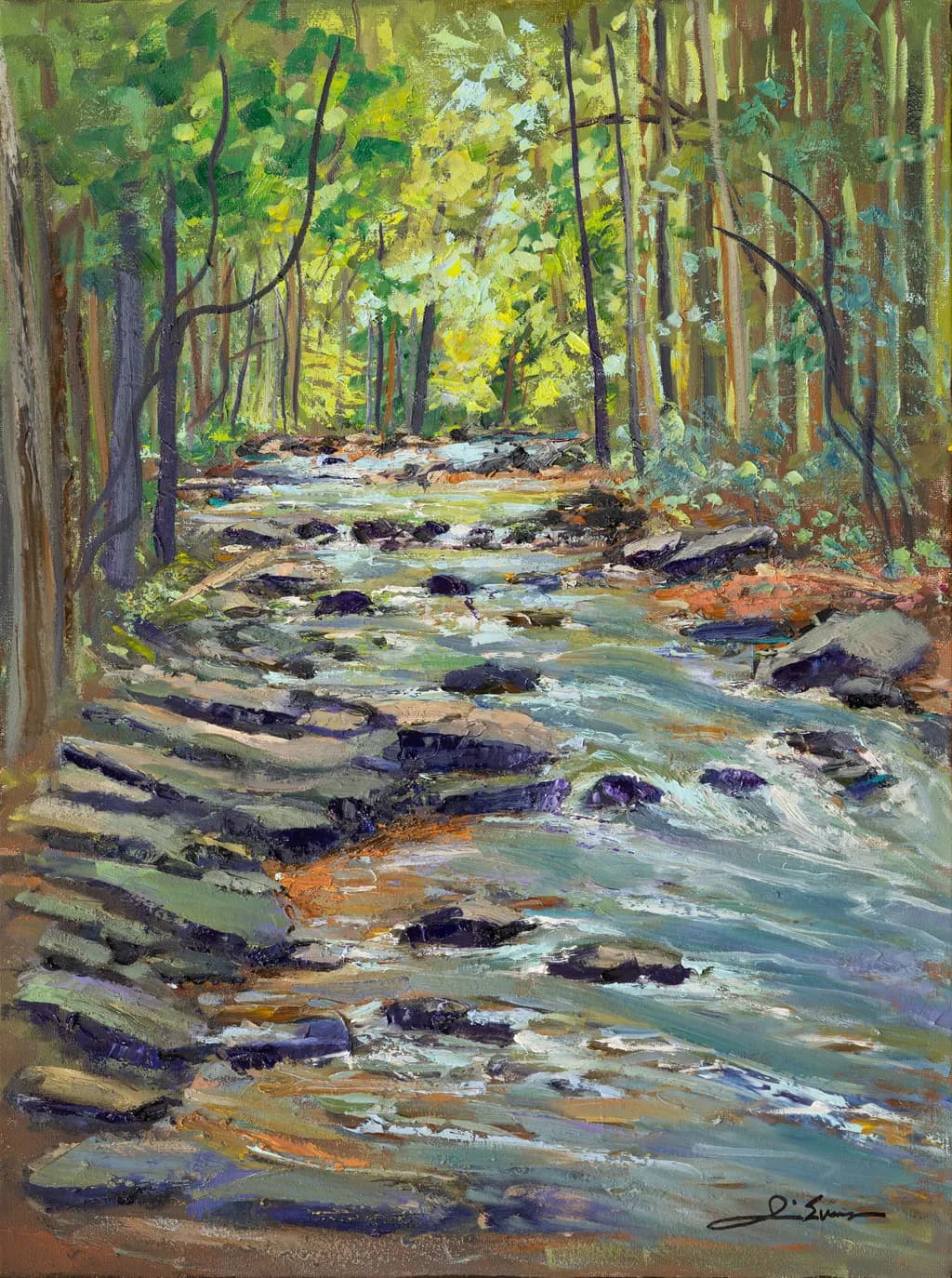 Forest Stream