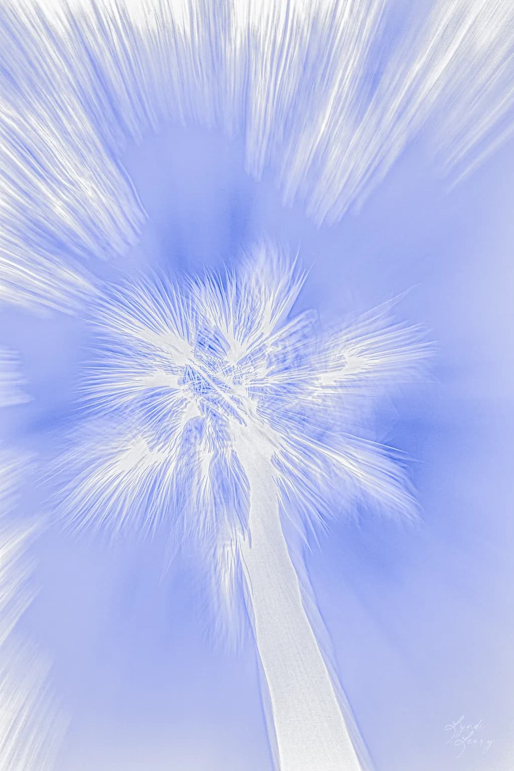 Palm Blur Rush