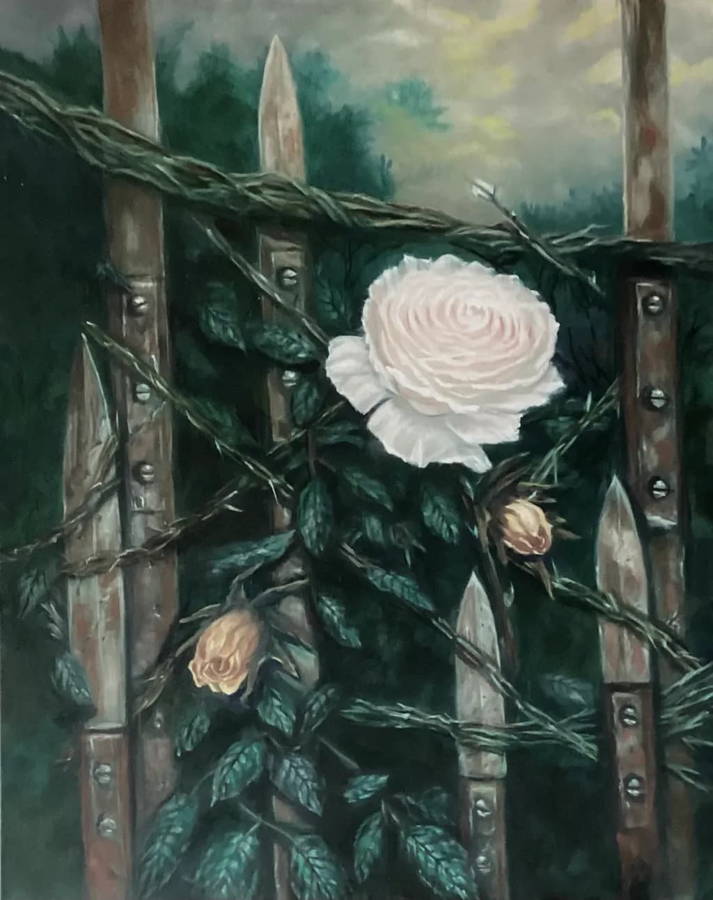 Stormy Rose