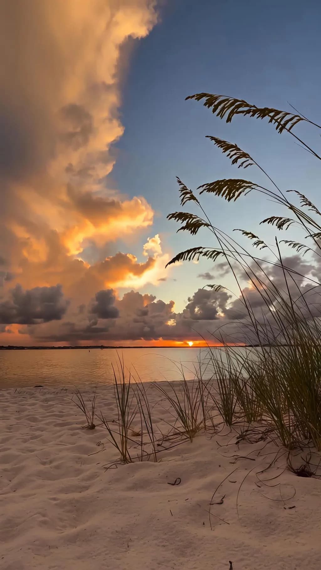Sunset Dune Breeze