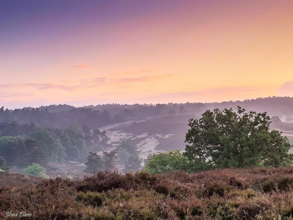 Posbank Dawn