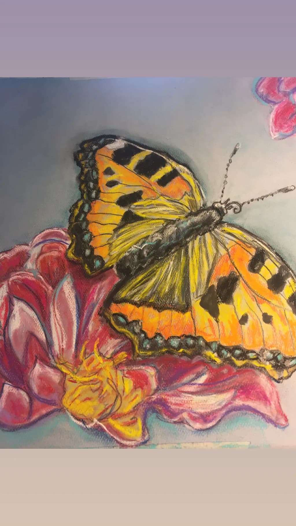 Tortoiseshell Resting