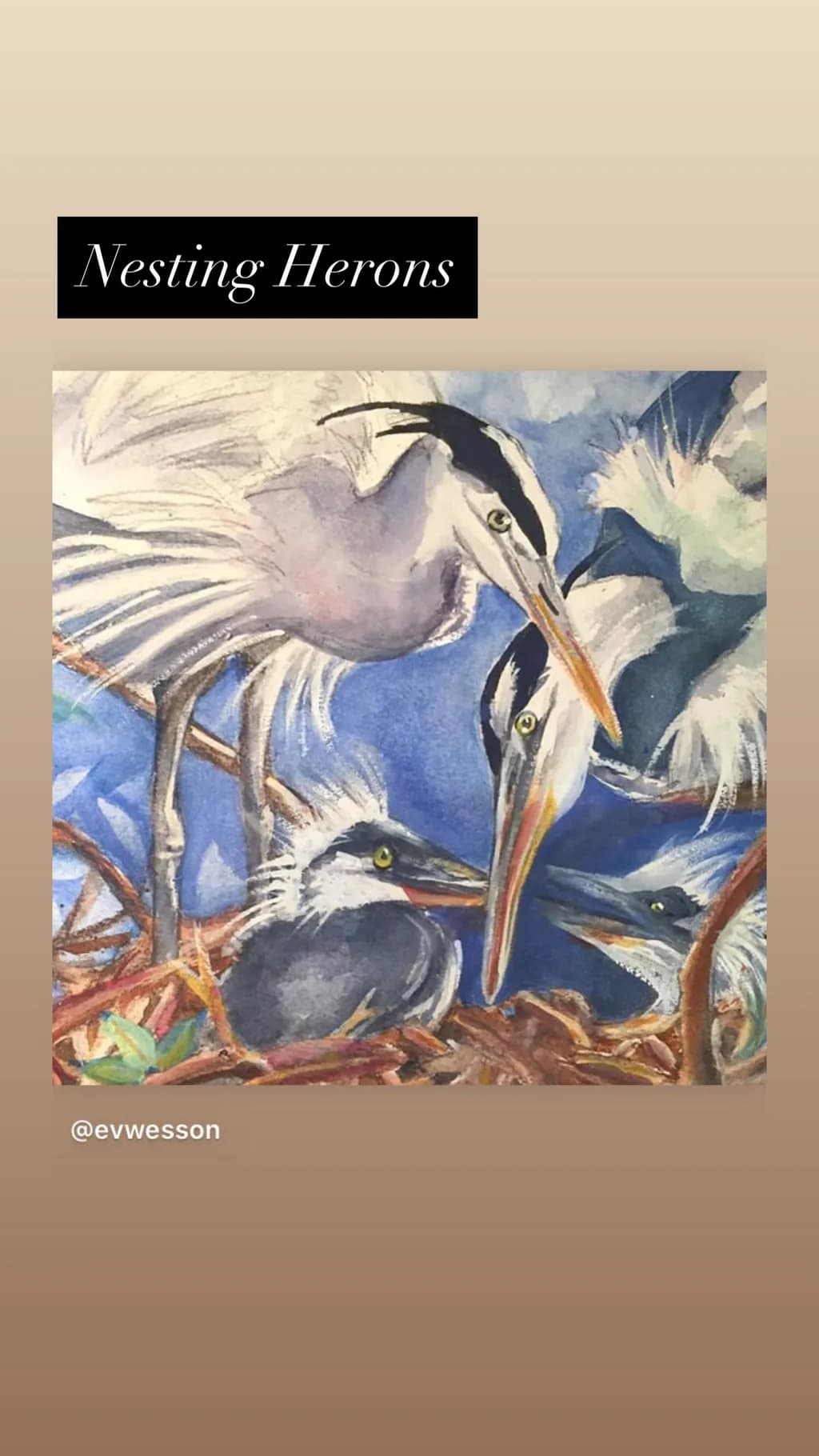 Nesting Herons