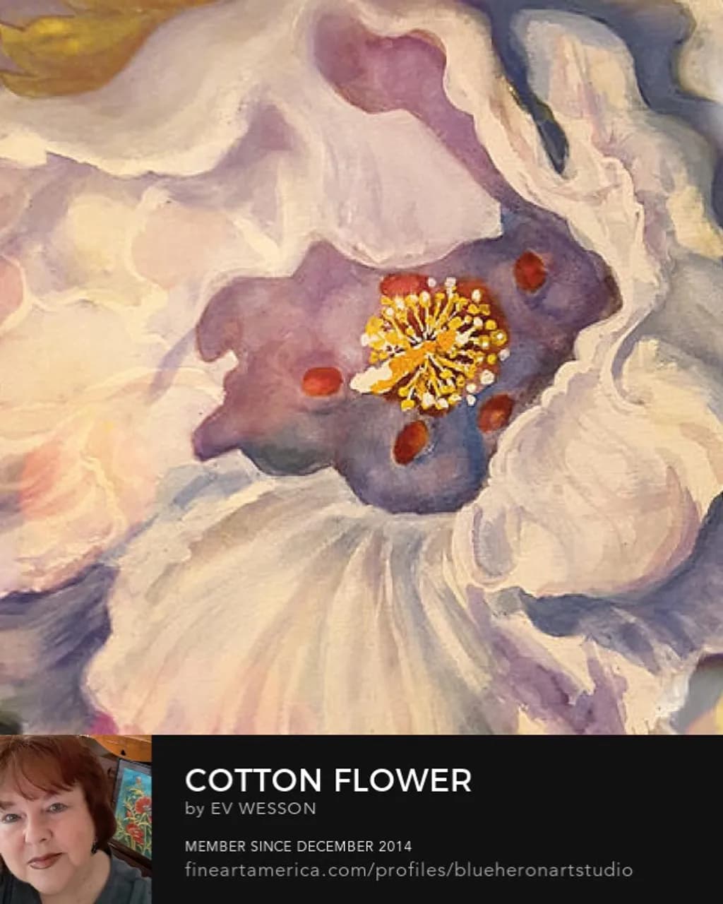 Cotton Flower