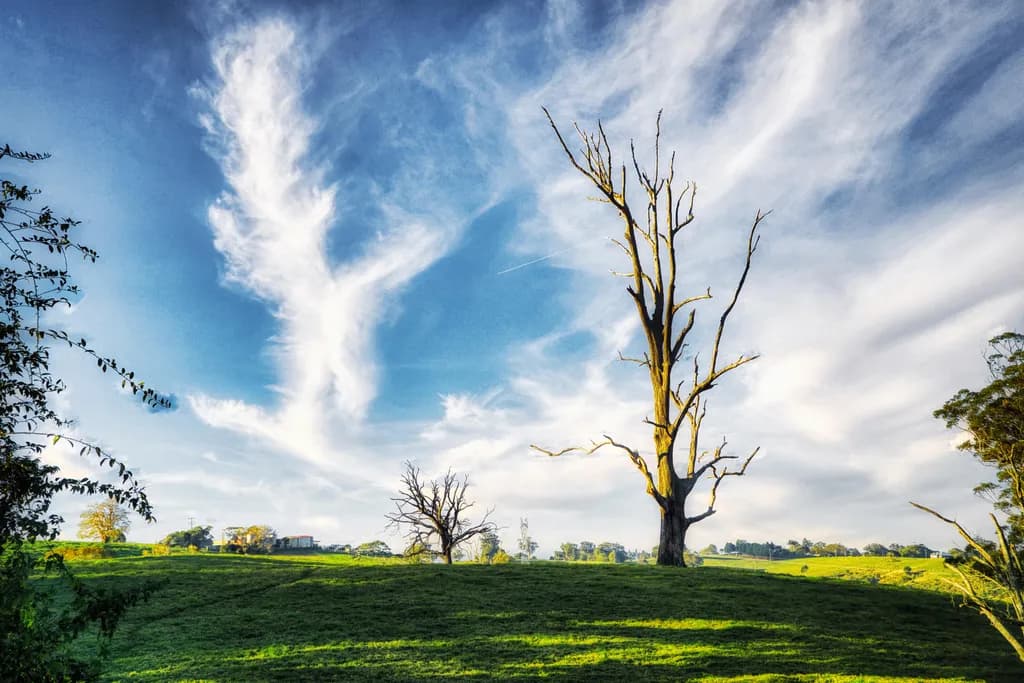 Solitary Branches