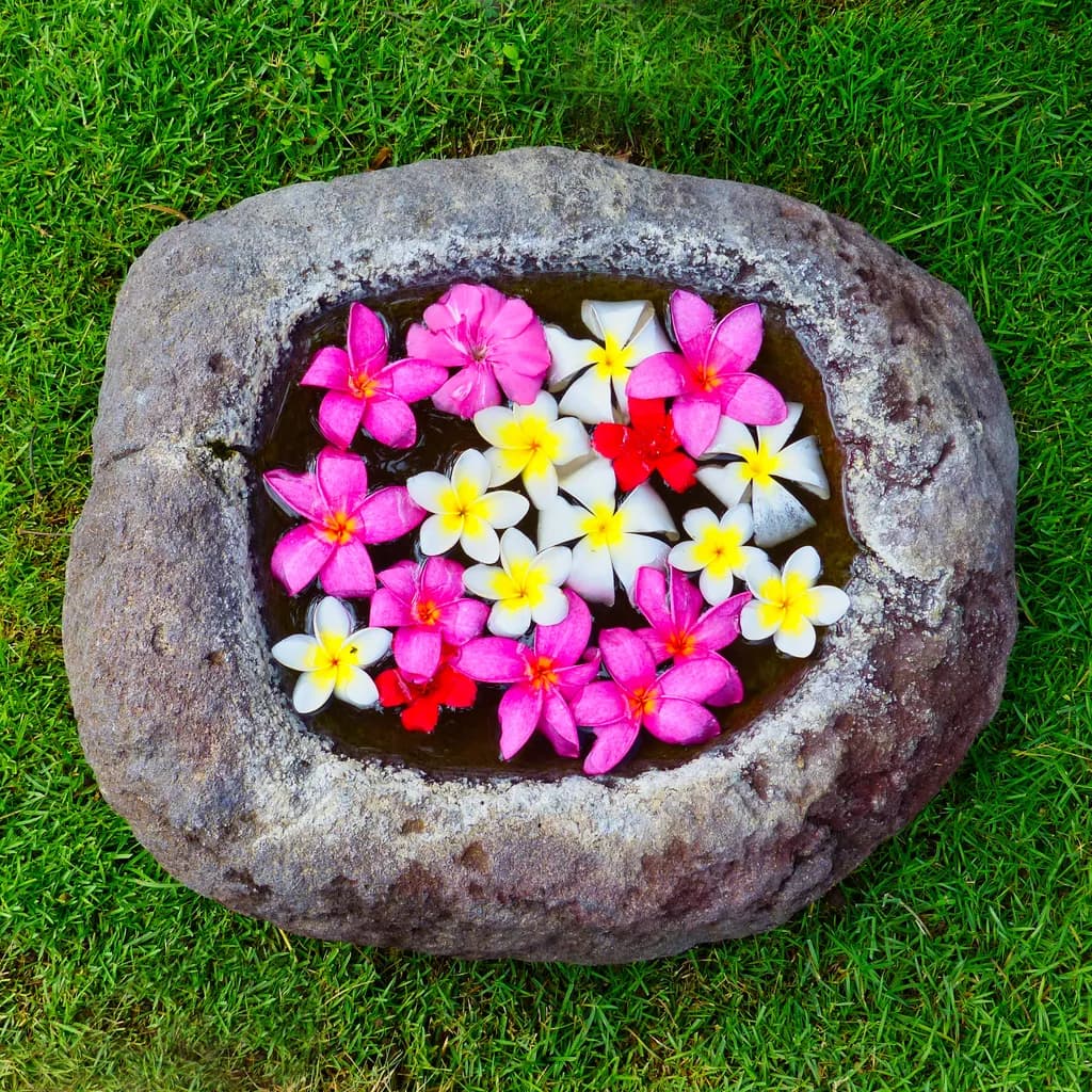 Stone Bowl Blossoms